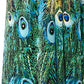 La Cera Peacock Printed Sleevless Maxi Dress - La Cera - 2
